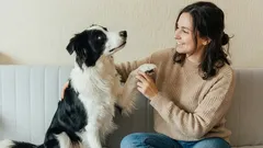 Il linguaggio del corpo del cane: come capire lo stato d'animo di un cane osservandone il comportamento
